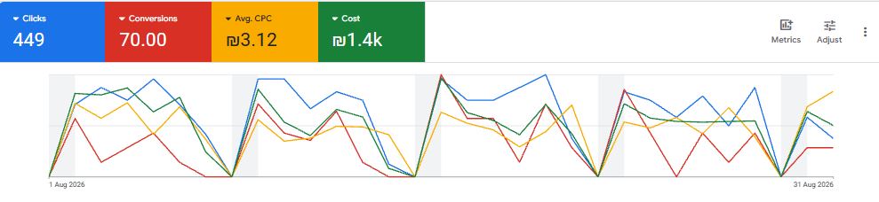 צילום מסך מחשבון Google Ads – עסק בתחום דיטיילינג